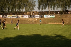 dsc06181