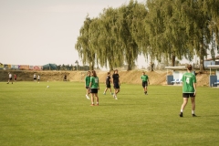 dsc06231
